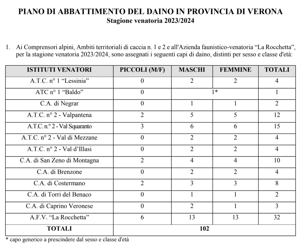 Piano daino 2023-2024